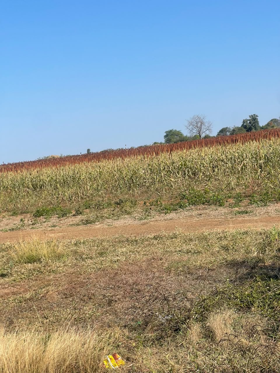 Mechanisation at Kashao Farm album cover